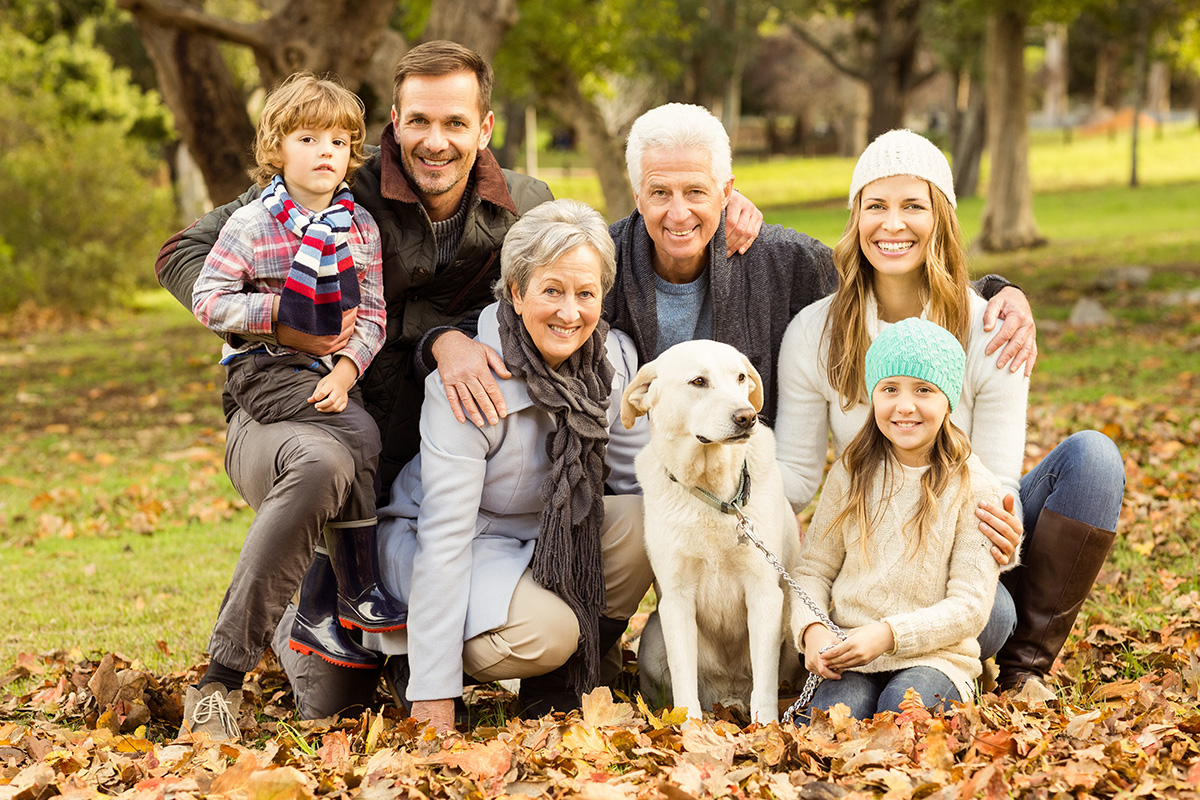 Stay in the Story How Grandparents Can Influence Their Grandchildren Through Every Season by Dr. Scott Turansky
